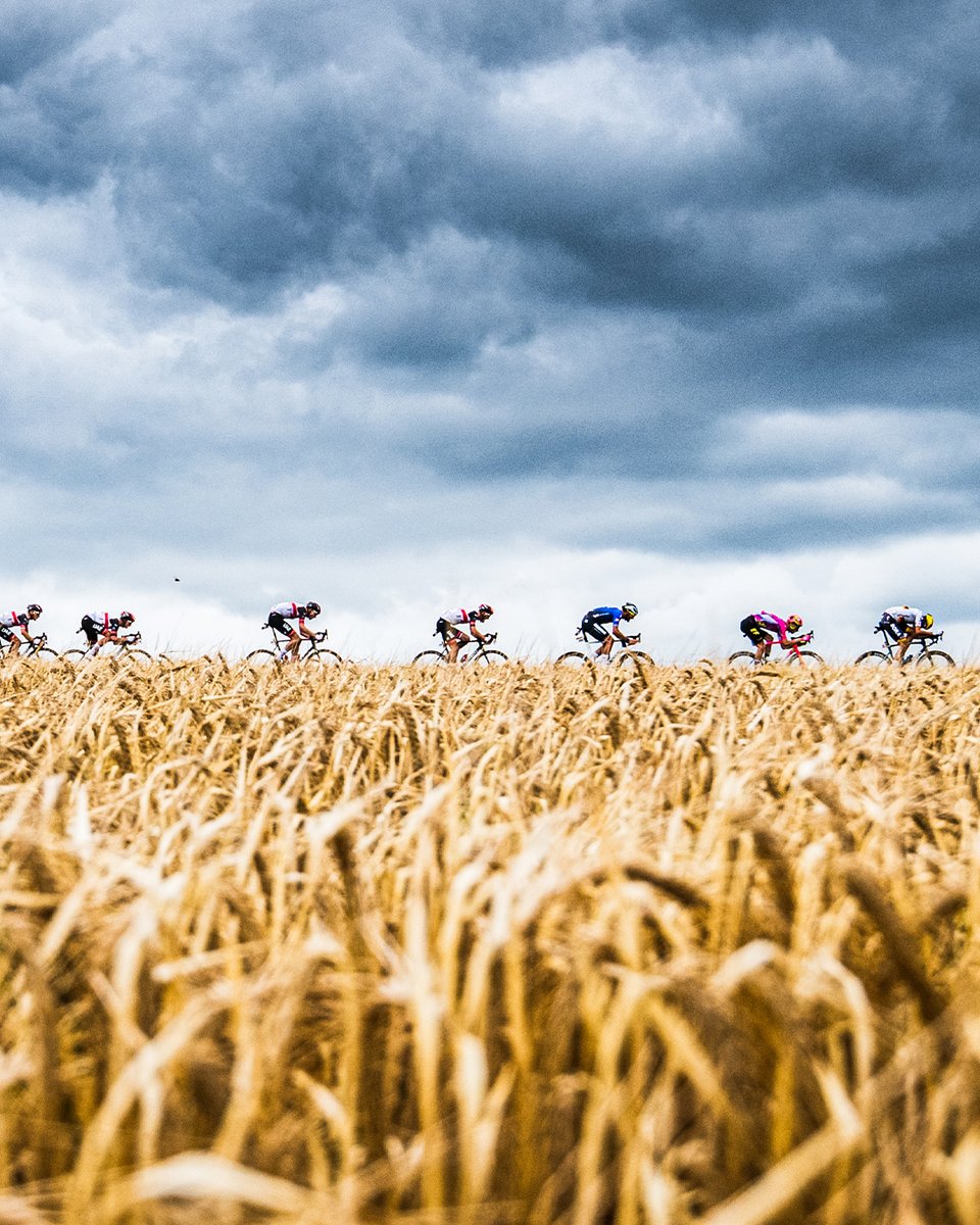 Le Tour de Franz tweet media