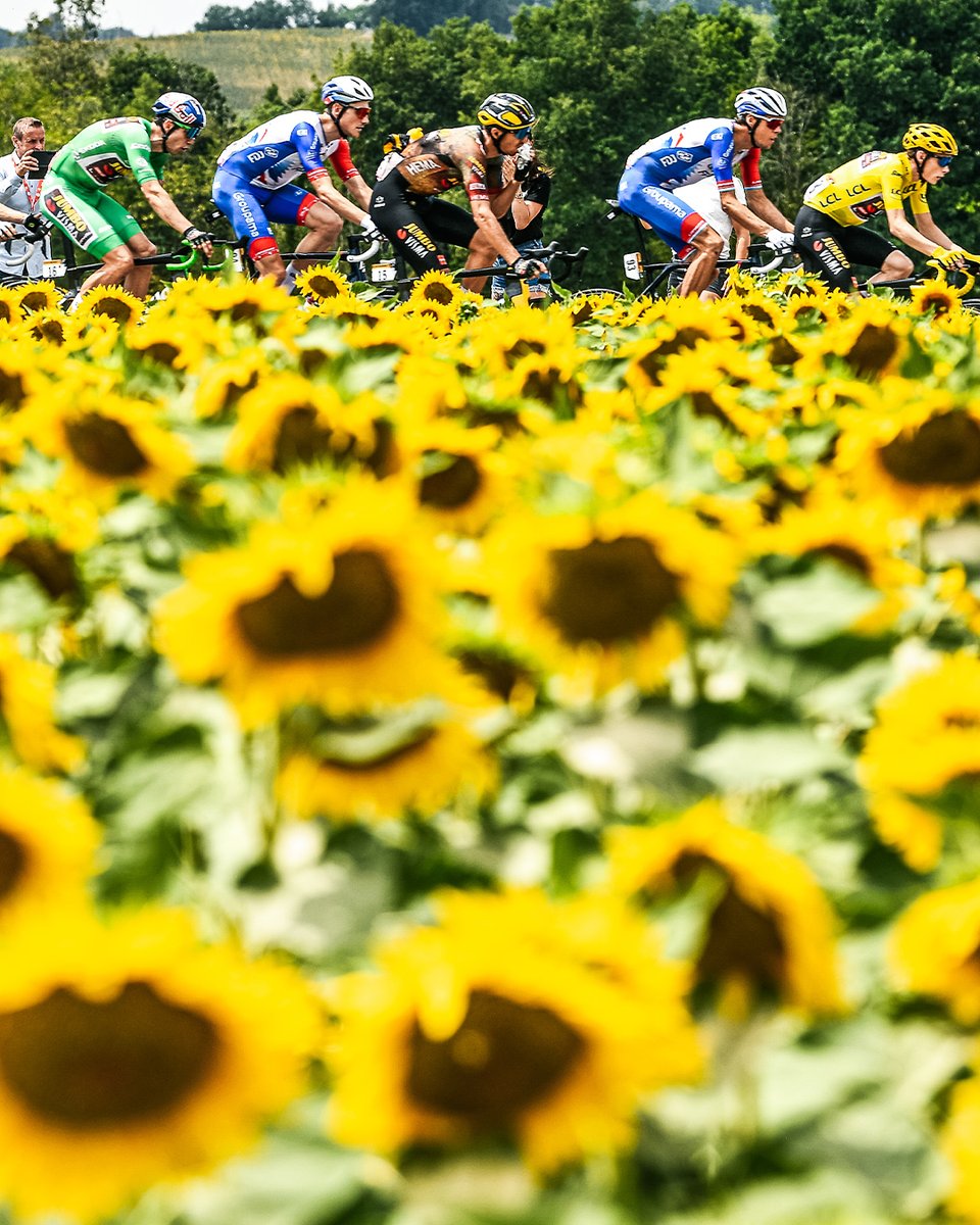 J-1️⃣0️⃣0️⃣ avant le grand départ du Tour de France 2023 à Bilbao 🤩

Maillot jaune, maillot vert, peloton... Tous ces mots qui nous ont tellement manqués reviennent à l’occasion d’une 110ème édition qui s’annonce PASSIONNANTE 🔥

Le compte à rebours est lancé... 🚴⏳

#TDF2023