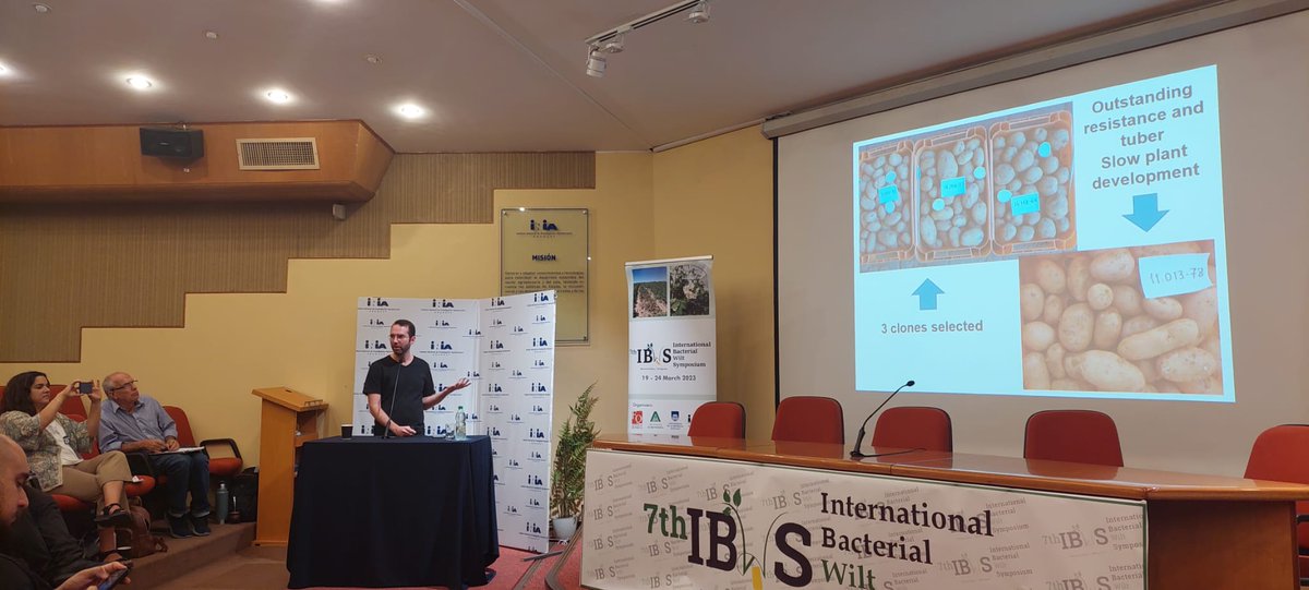 7IBWS2023 tweet media