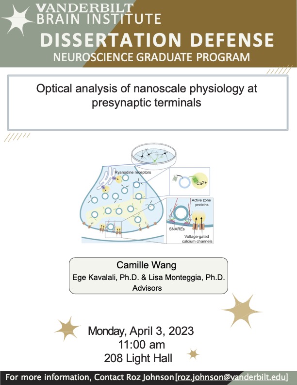 Join us Monday, April 3 at 11:00am in 208 Light Hall for @camilleswang's Dissertation Defense! Camille will present 'Optical analysis of nanoscale physiology at presynaptic terminals' completed in the labs of Drs. @LisaMonteggia and Ege Kavalali through @VanderbiltBrain.