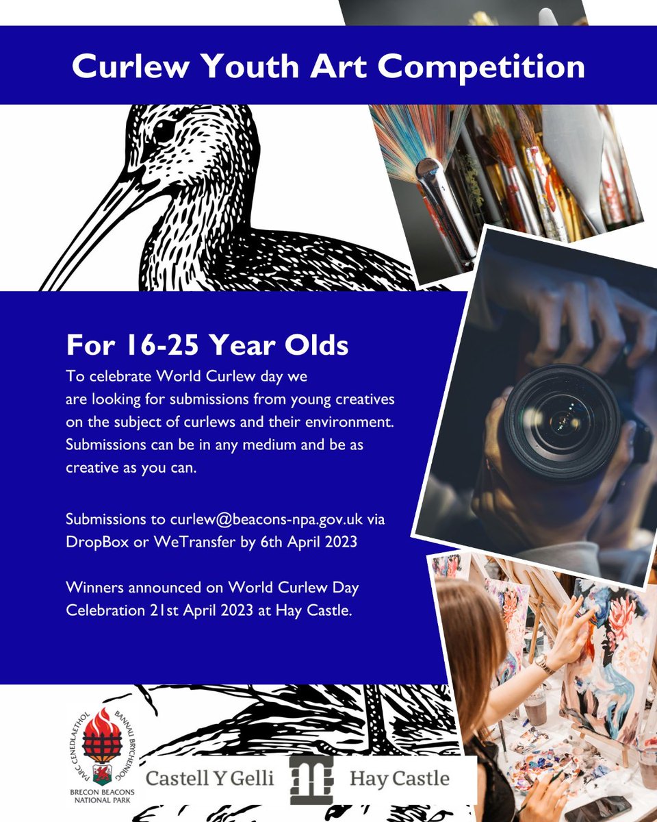 📢 
To celebrate World Curlew day we are looking for submissions from young creatives on the subject of Curlews and their environment

Submissions can be in any medium 🤳 📸 🎥 🖌️ 🎨 ✏️ 

Winners announced on #WorldCurlewDay Celebration 21st April 2023 at Hay Castle