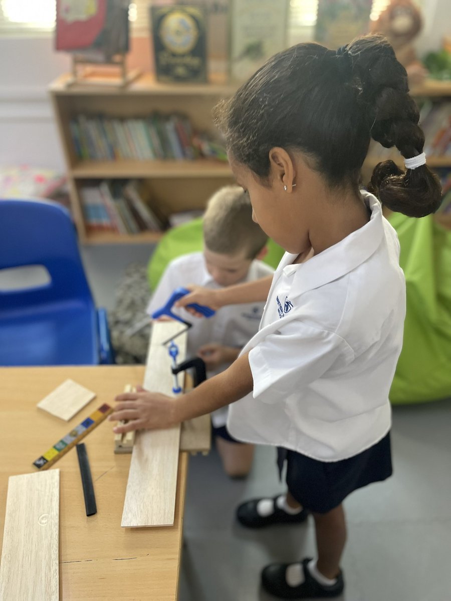 BSM Year 4 tweet media