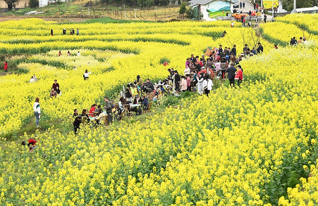 CGTNOfficial's tweet photo. The rapeseed flowers are in full bloom, and the tourists are flocking to the Paotong Village International Eco-Agricultural Tourism Demonstration Area in the Fuling District of Chongqing. #backoncourse https://t.co/M9h1mSlDL9