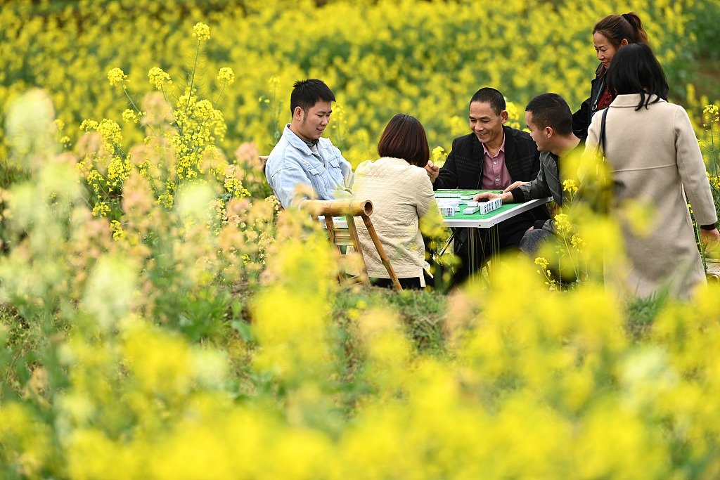 CGTNOfficial's tweet photo. The rapeseed flowers are in full bloom, and the tourists are flocking to the Paotong Village International Eco-Agricultural Tourism Demonstration Area in the Fuling District of Chongqing. #backoncourse https://t.co/M9h1mSlDL9
