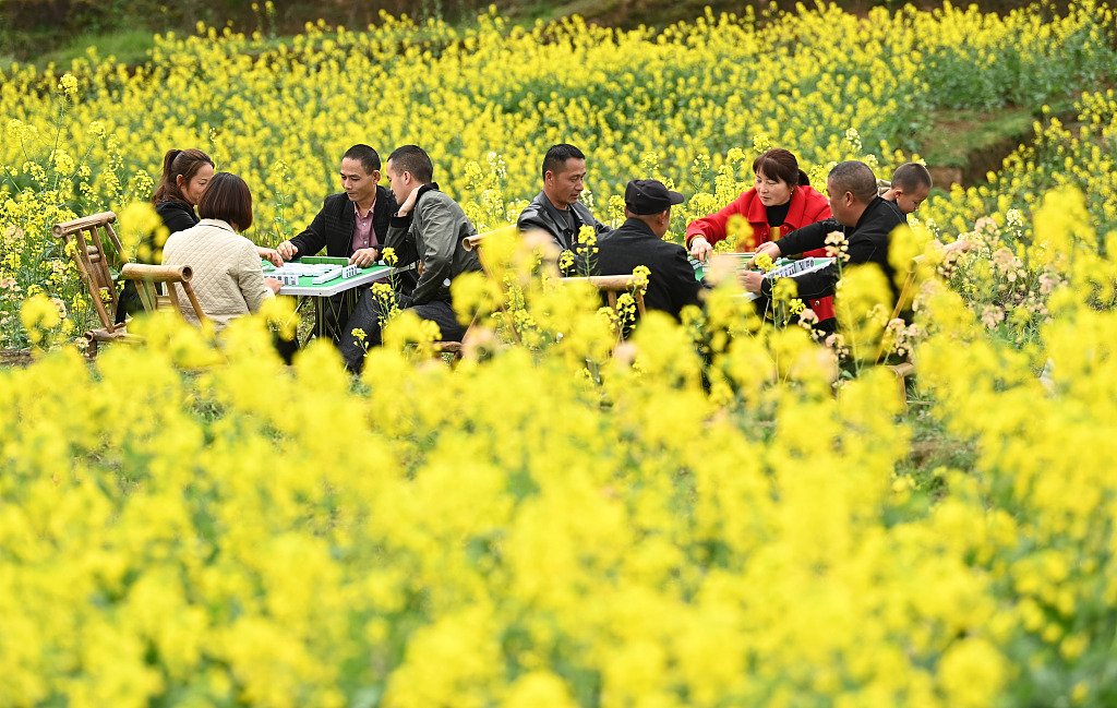 CGTNOfficial's tweet photo. The rapeseed flowers are in full bloom, and the tourists are flocking to the Paotong Village International Eco-Agricultural Tourism Demonstration Area in the Fuling District of Chongqing. #backoncourse https://t.co/M9h1mSlDL9