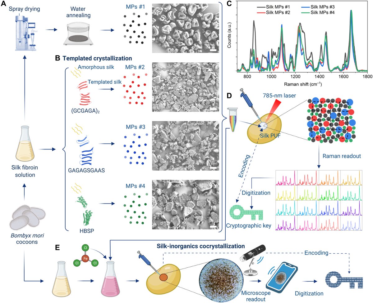 Science Advances tweet media