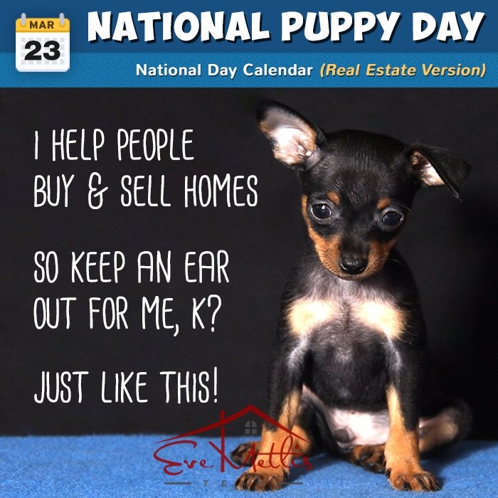 It's National Puppy Day! It's always National Puppy Day In my house! 🐕‍🦺💜
#nationalpuppyday #Realtor #orlandorealtor