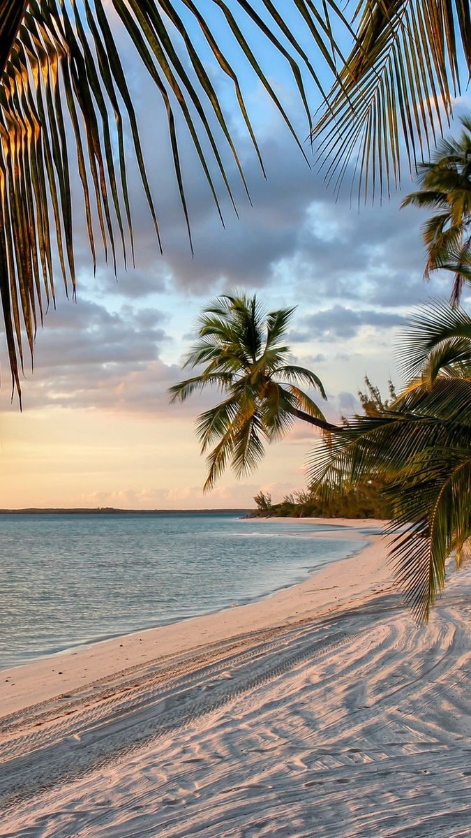boohoo's tweet photo. Dreaming of this view ☀️🐬 https://t.co/aj1KmU2yCC