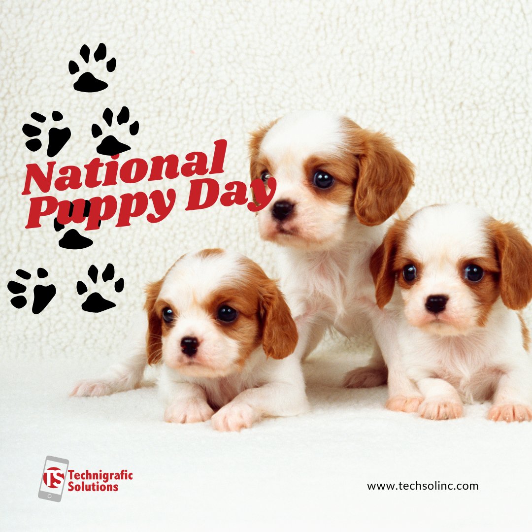 getlocal1st's tweet photo. Let’s paws and take a moment to celebrate National Puppy Day! 🐶

Looking for a partner for digital marketing pup-ularity? 
 We can help your business reach its full puppy-tential. Get in touch with us

Visit:https://t.co/t7TatPrYjZ

.
#nationalpuppyday #digitalmarketing https://t.co/AusaS9T3N5