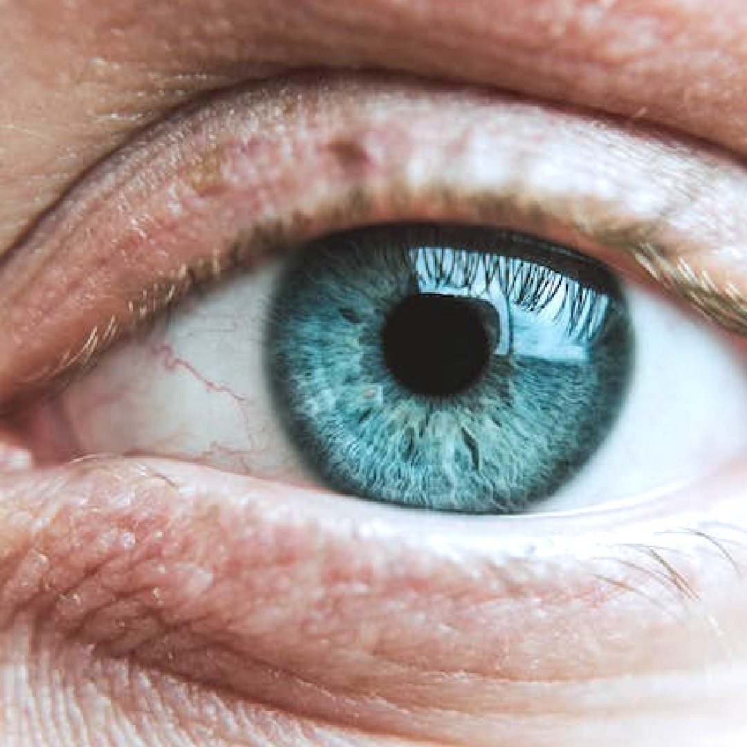 2020eyecarewpg's tweet photo. Happy #WorldOptometryDay!

When was the last time you had an #eyeexam? Did you know that adults should be seen every 1-2 years, children and people with diabetes annually? Book your #eyeexam online today at https://t.co/VYr4L1kJxi

#wpgod #2020eyecare  #wpglocal https://t.co/TGFD6ls5eP