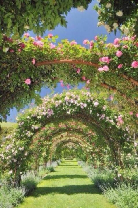 antitofthumbe's tweet photo. Esencia se siente como:
💐🪴🌻🌺🏵☁️🌄🌿 https://t.co/36uH6NPzMK