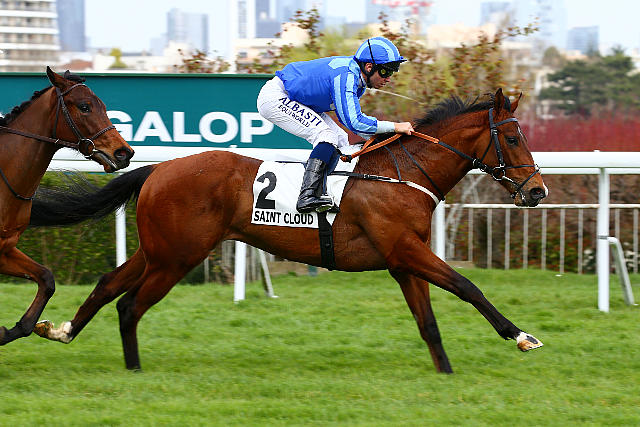 Tattersalls Français tweet media