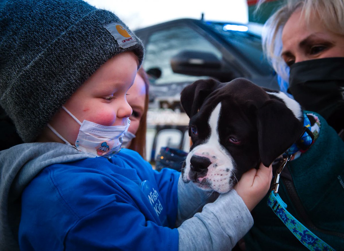 makeawishmaine's tweet photo. *Paws* what you are doing and check out these sweet photos for National Puppy Day! These are just a few of the puppy wishes we have had the honor to grant! 🌟 🐾  #NationalPuppyDay #WishesMatter #HopeIsEssential #Woof https://t.co/8alVGysudQ