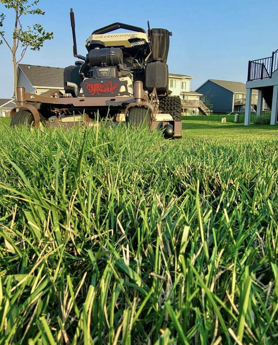GrasshopperMowr's tweet photo. Just here to add some green to your feed . . . ๐
๐ท The Grassy Knoll (IA)
#grasshoppermowers #standonmower #yournextmower #greengrass #lawncare https://t.co/dJ2iS1eBui