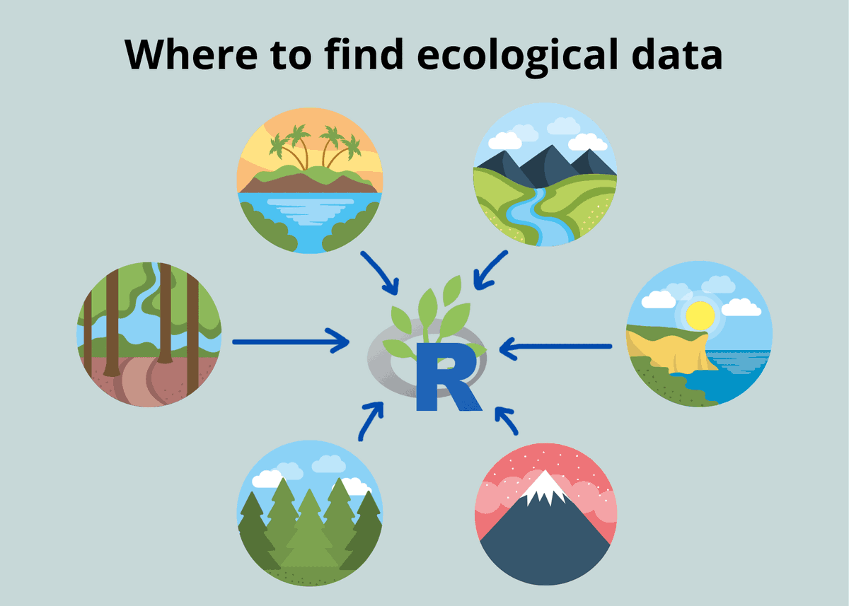 Need some data? I am SUPER stoked to share the amazing blog post by <a href="/SelinaCheng16/">Selina Cheng</a> 

Check out the top five sources for ecological data and learn all the tips, tricks, and best practices for getting and using these data: rforecology.com/post/top-five-…

#Rstats #RforEcology #Research