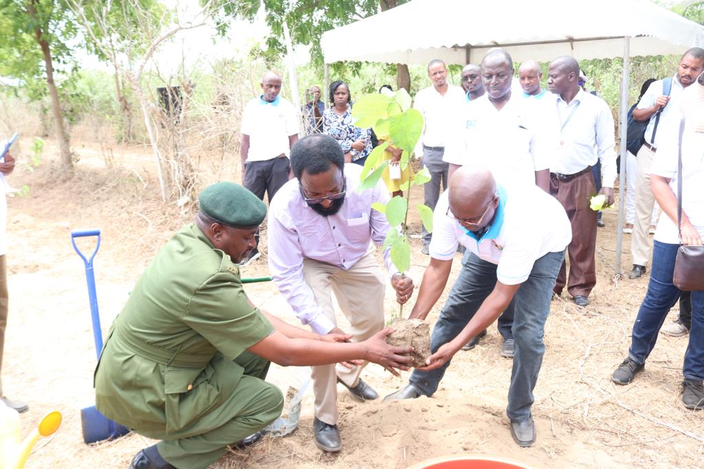 EnviClimateC_Ke's tweet photo. "I want to ask every Kenyan to grow 30 trees every year which will translate to 15 billion trees by 2032... this will help us mitigate against and adapt to the effects of climate change and address food insecurity ~ PS Eng Ng'eno #WorldMeteorologicalDay #WeatherClimateWater https://t.co/xSEQs4LjR9