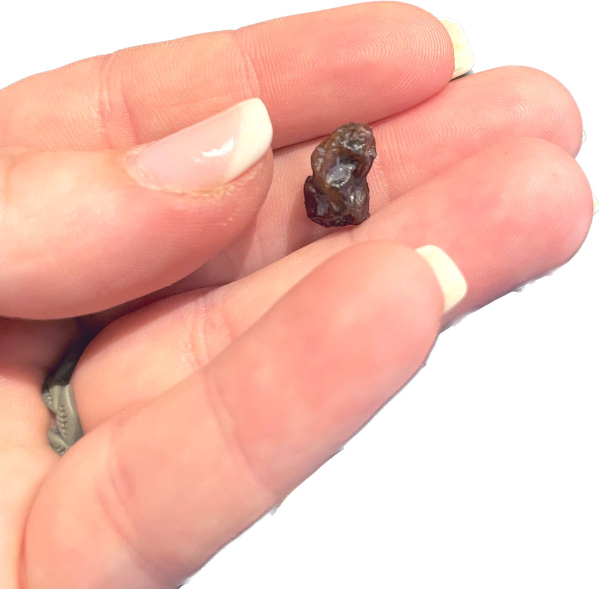 Erin Dunkle, Ed. S tweet media