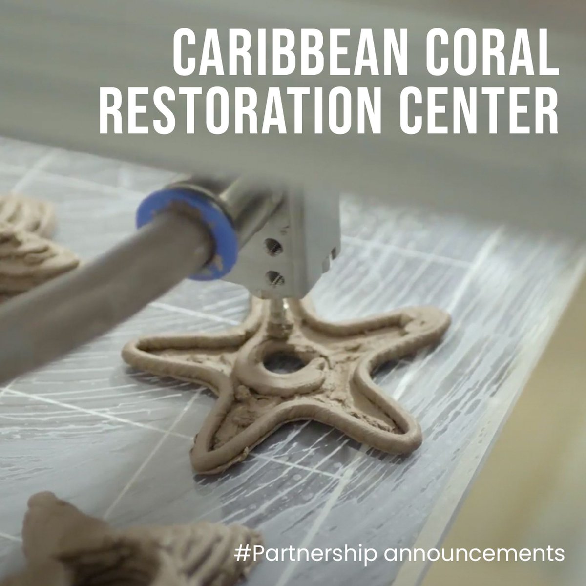 OceanBuilders's tweet photo. We are so excited to be partnering with Caribbean Coral Restoration who is helping us create and deploy our 3D-printed clay coral habitats. These coral habitats will create a safe and healthy home where we can plant coral fragments so that they can have a headstart and grow! https://t.co/z7M7AS0aC1