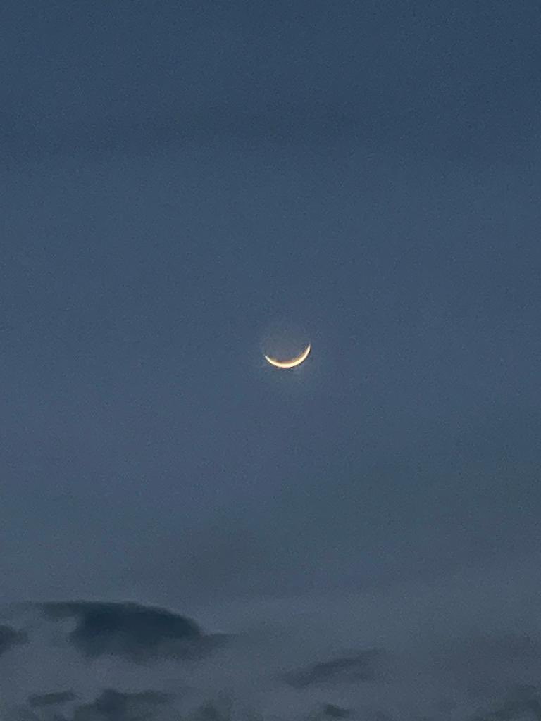 We narrowly escaped missing a day, our odd nights and may have been fasting on the day of Eid. 

Let us all be wise and follow one moon for ummah. Borders are man made. World is one. Moon sighted and message reached is sighted for you also. 

~ Rest is all politics