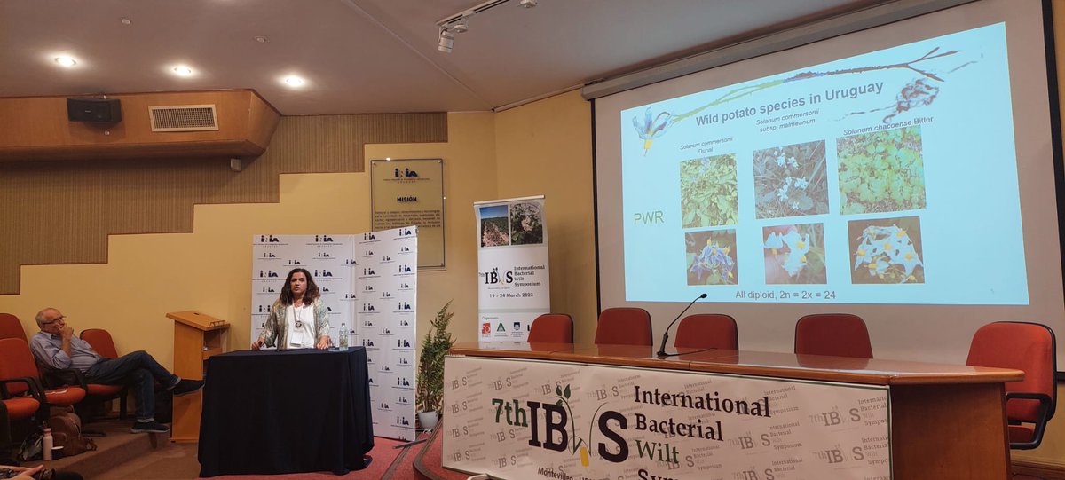 7IBWS2023 tweet media