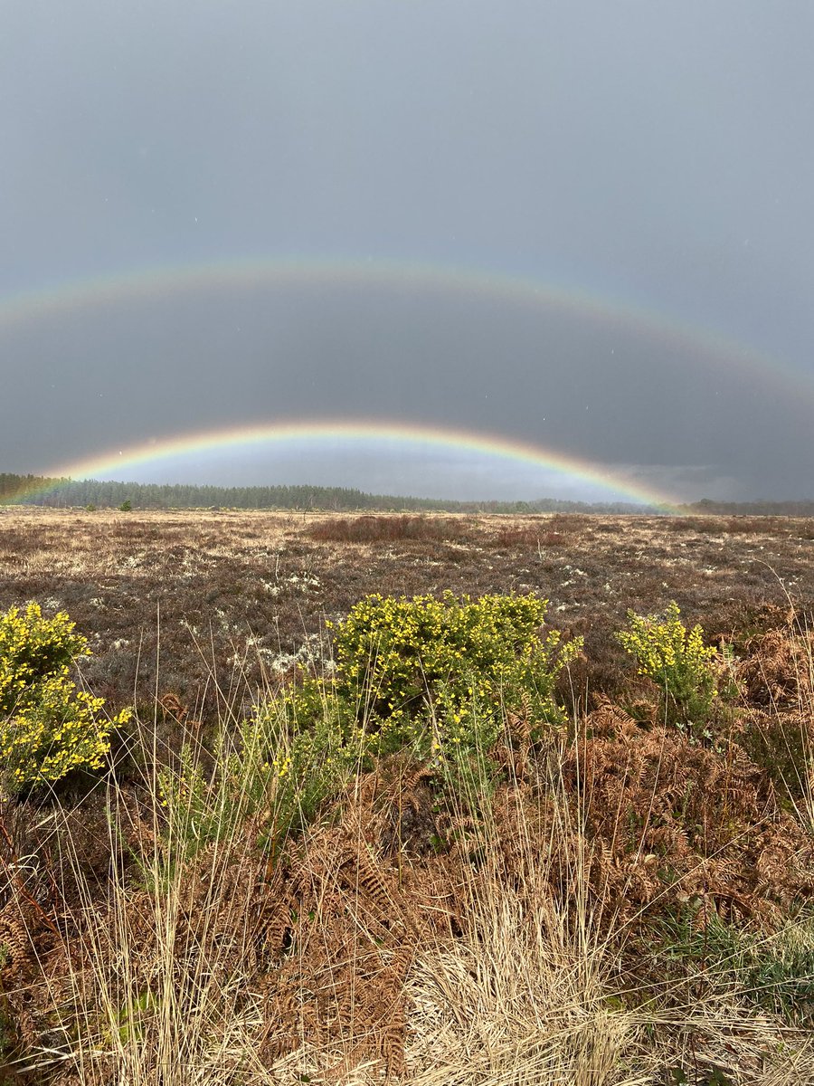 michellemadethis tweet media