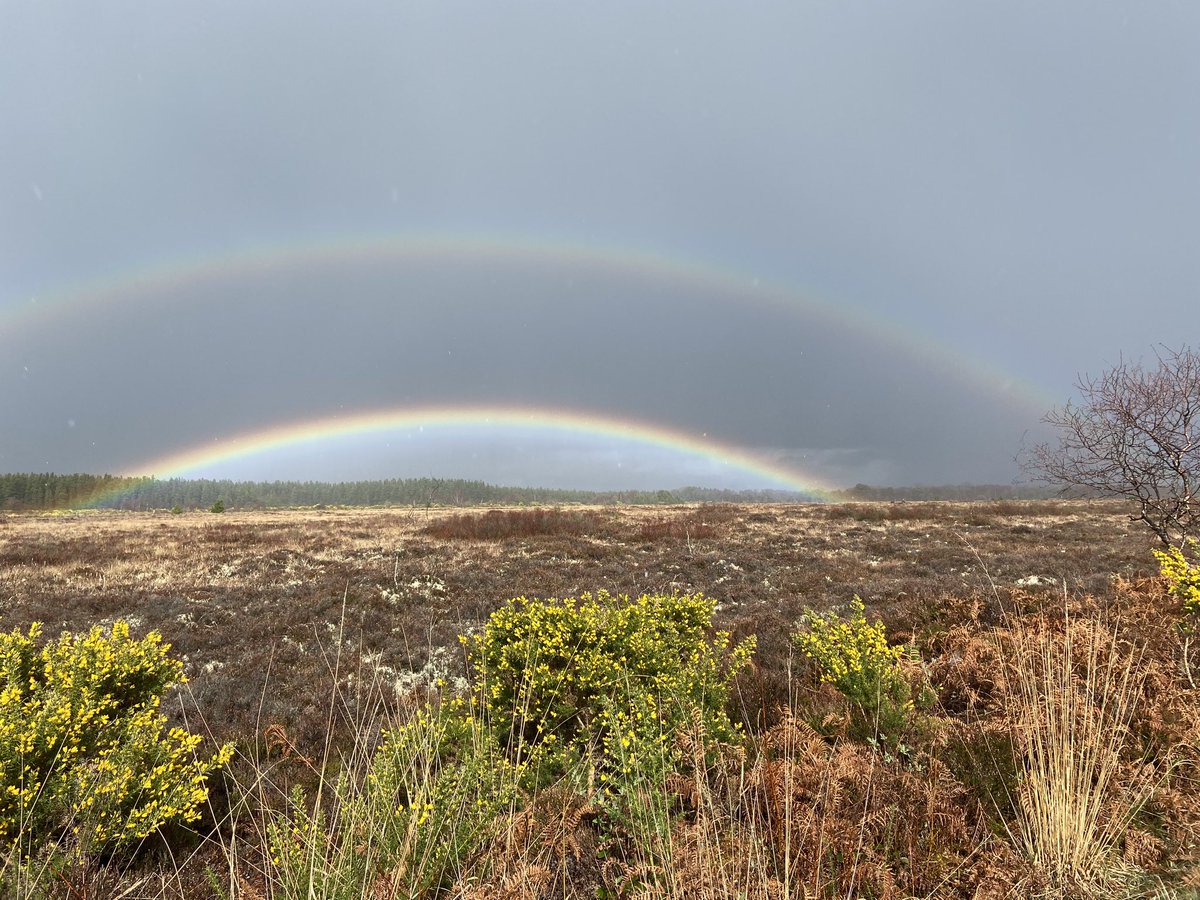 michellemadethis tweet media