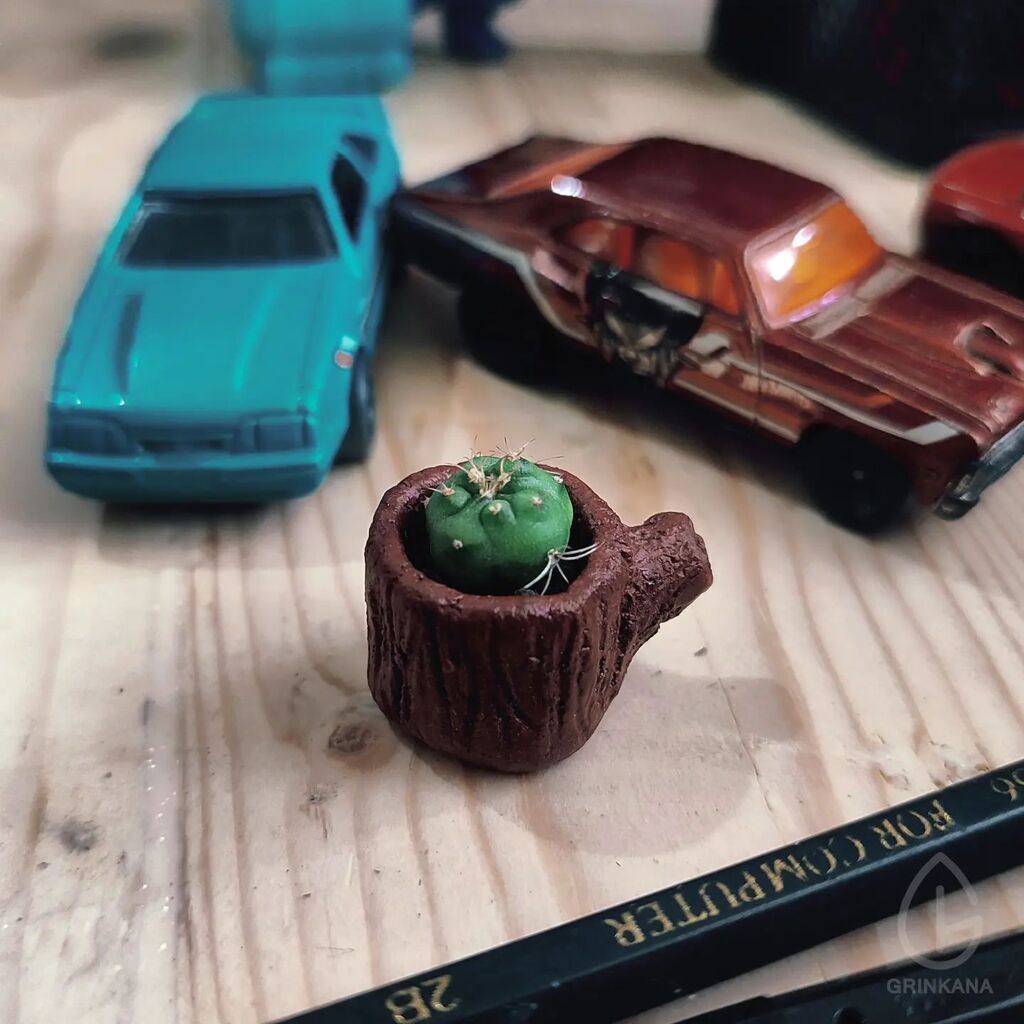 grinkana's tweet photo. Super duper mini cactus in frame!
Available now!!!
Available now!!! 
Available now!!! 
. 
#bonsai #mame #cactus #cactuslover #miniplants #littleplants #indoorplants #souvenir #gift #bonsailovers #bonsaiart https://t.co/3UmVZDzoQG