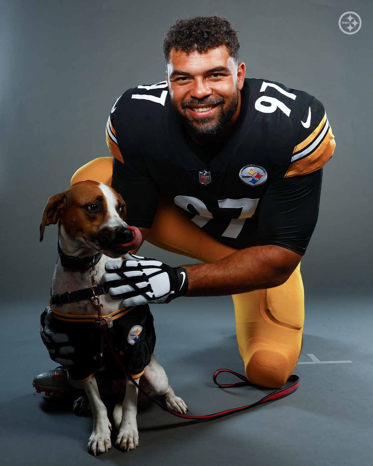 Pittsburgh Steelers on X: 'Celebrating the doggos repping the black &  gold 