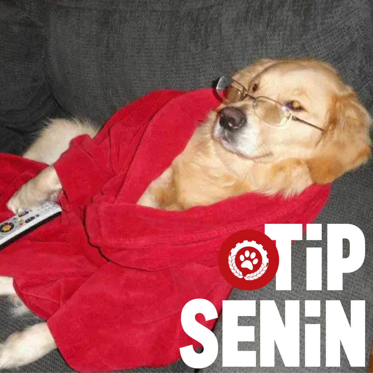 IsciPatisi's tweet photo. Emeklilik sefalet olmamalı diyorsan #TİPSenin https://t.co/CNnFcXLCKn