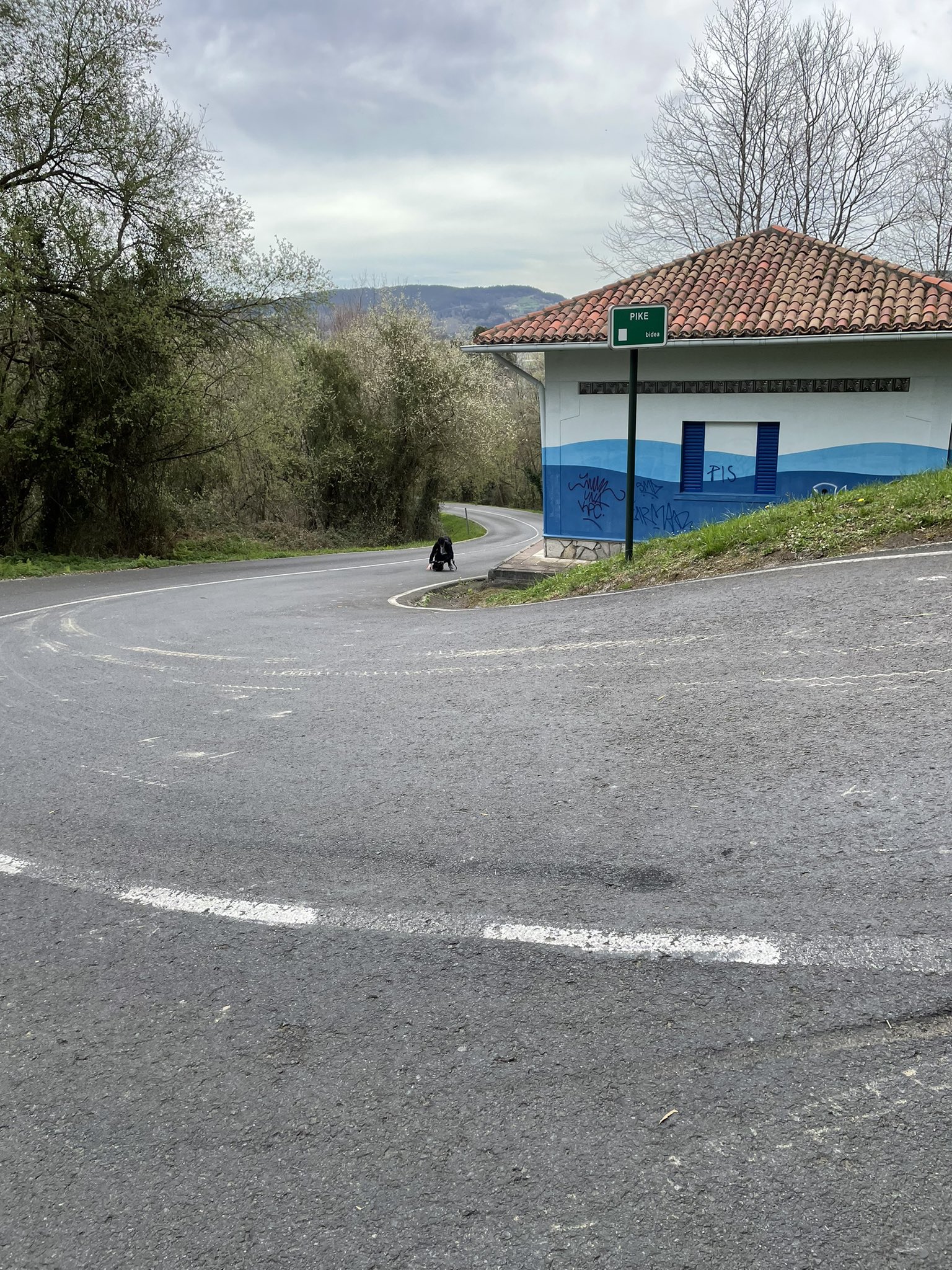 Fr6S_tFWcAIGP7H?format=jpg&name=large