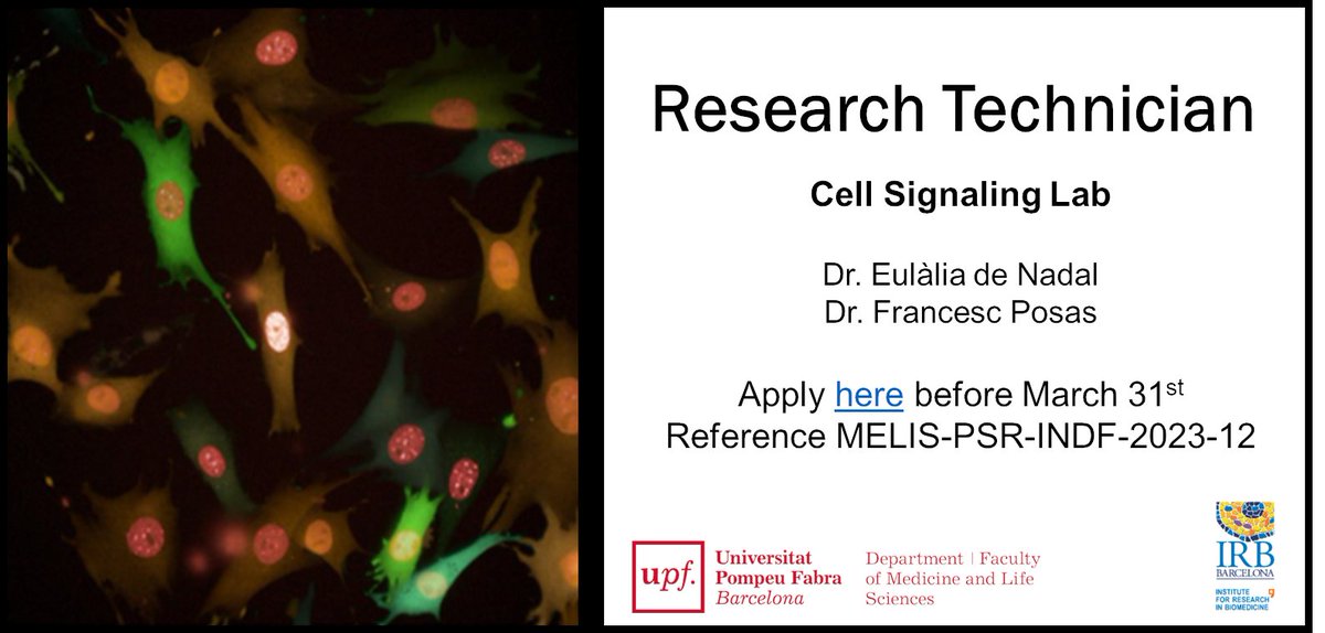 🚨JOB ALERT🚨

We are looking for a Research Technician 😎🧪! 

This is a great opportunity to be a member of an excellent research group.  Check it out shorturl.at/flnM4

Please spread the word!