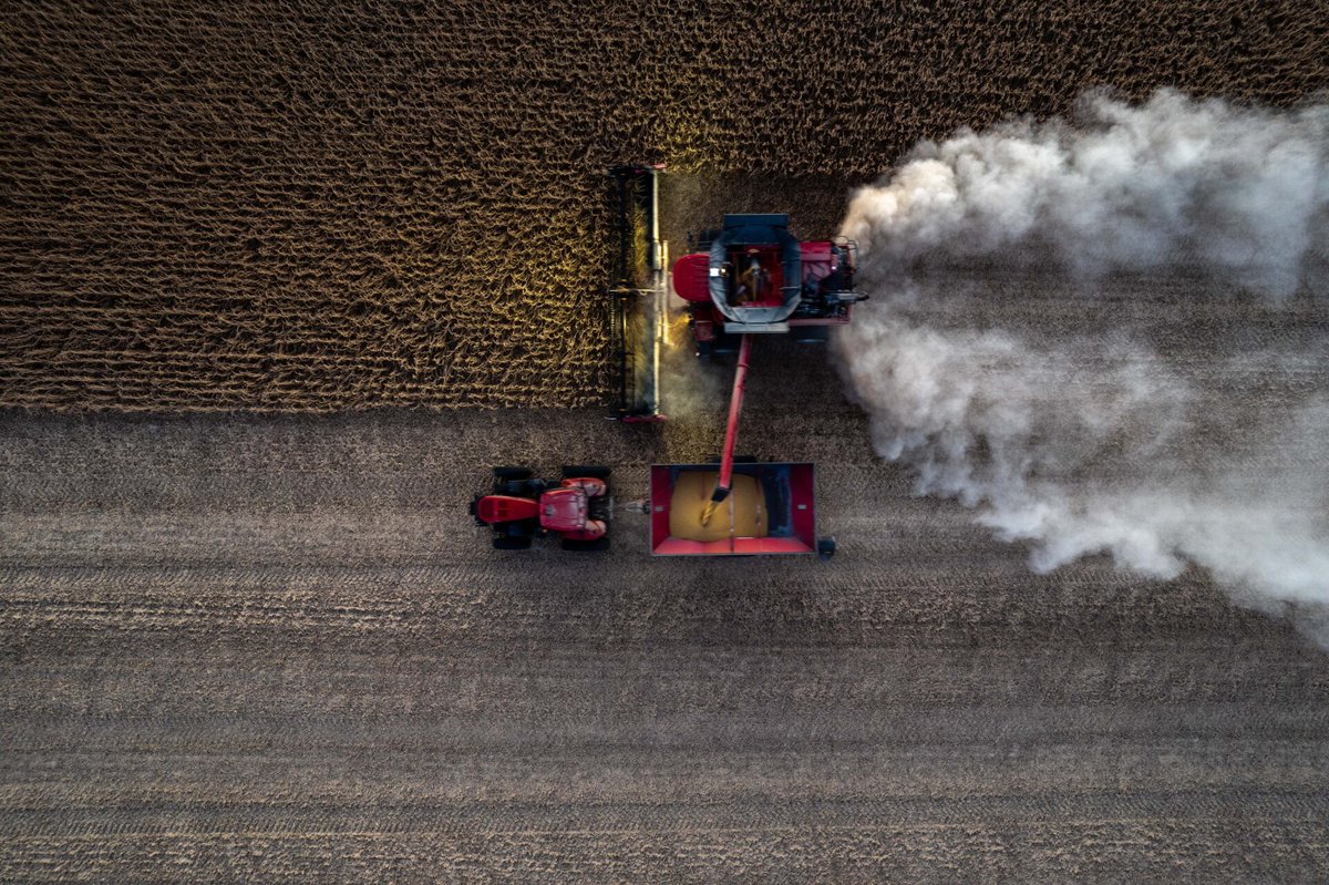 Birkeys's tweet photo. Limiting grain loss and increasing harvest efficiency is at the heart of #CaseIH design. Learn more: https://t.co/RdvVOZMFlr #birkeys #birkeysfarmstore #CaseIHDealer https://t.co/Bvz0Rd4fe7