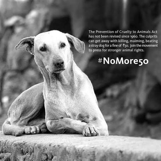 Citizens across India want stricter animal cruelty laws.The animals need not only our compassion but also our action and protection; <a href="/narendramodi/">Narendra Modi</a> ji  pass the #PCA Amendment Bill 

#NoMore50 #AmendPCA 
<a href="/PMOIndia/">PMO India</a>
<a href="/PRupala/">Parshottam Rupala</a>
<a href="/Dept_of_AHD/">Dept of Animal Husbandry & Dairying, Min of FAH&D</a>
#stopanimalcruelty <a href="/Daljeet_Sahi_1/">Voice for Voiceless 1313</a>