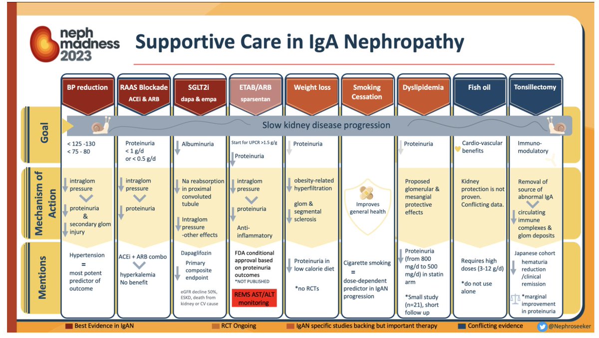 TeamNephroWhale's tweet photo. 6/Moving on falsely thought most common nephropathy in the world: IgA Nephropathy. I wonder why humans have so much trouble with their immune system, and how they can prevent or treat this disease. Maybe they should eat more fish, like me. Get it?😜 #NephMadness https://t.co/03IBcQni4y
