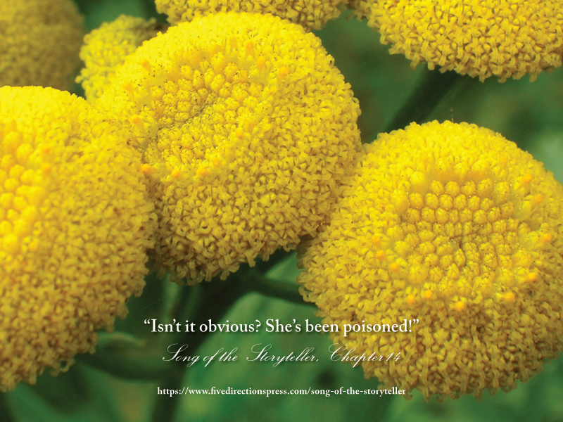 5 Directions Press tweet media