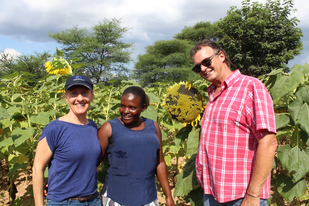 SCOPE4IVC tweet media