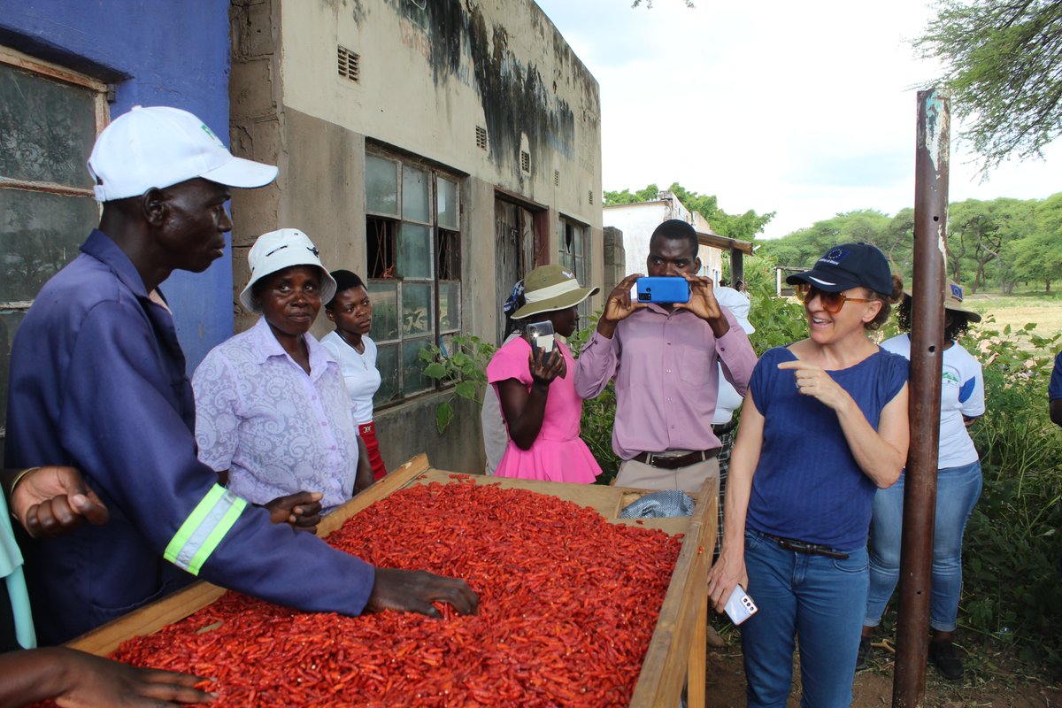 SCOPE4IVC tweet media