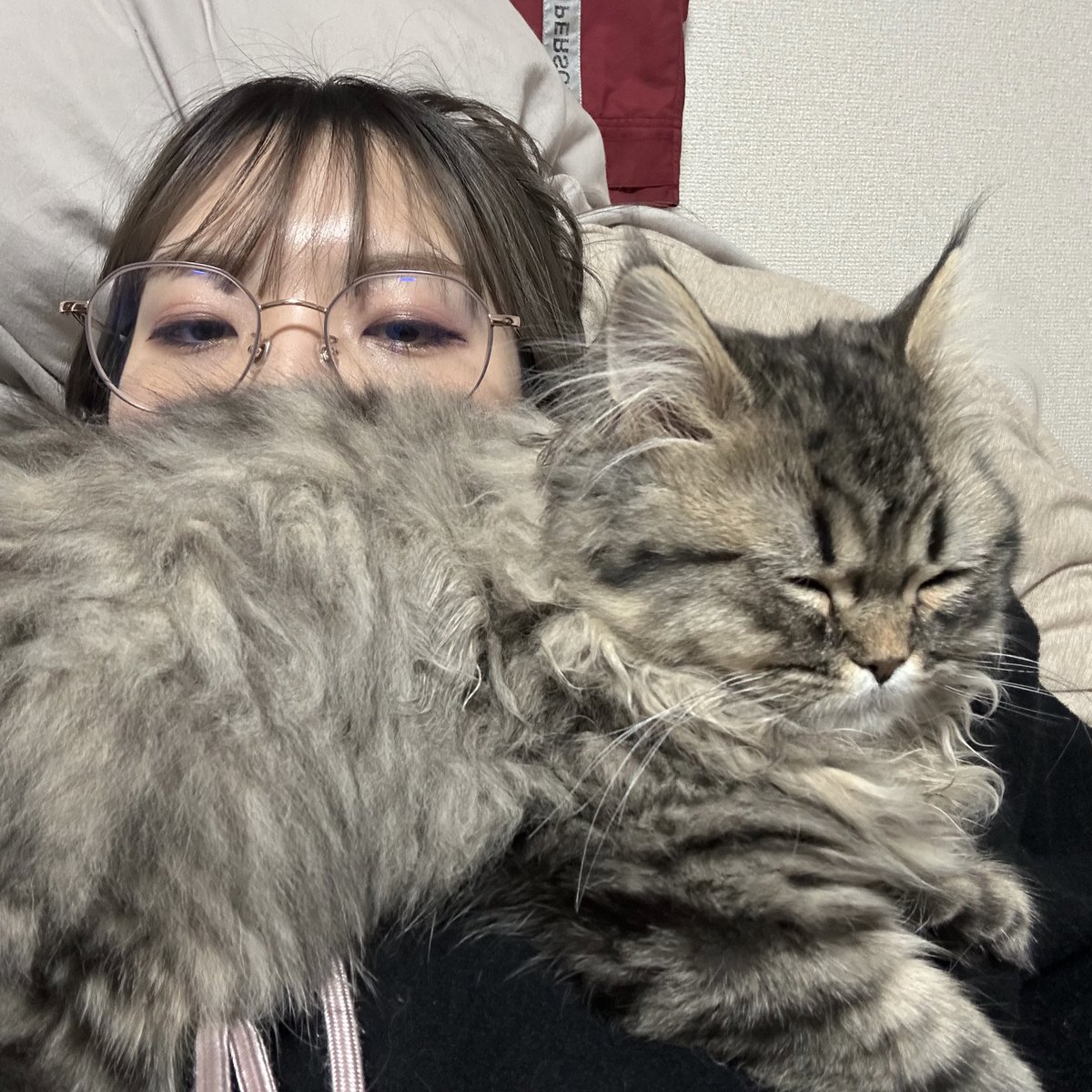 sleep_hoo's tweet photo. しかしとてもかわいいにゃん
定位置:首 https://t.co/3EdzYbhOaR