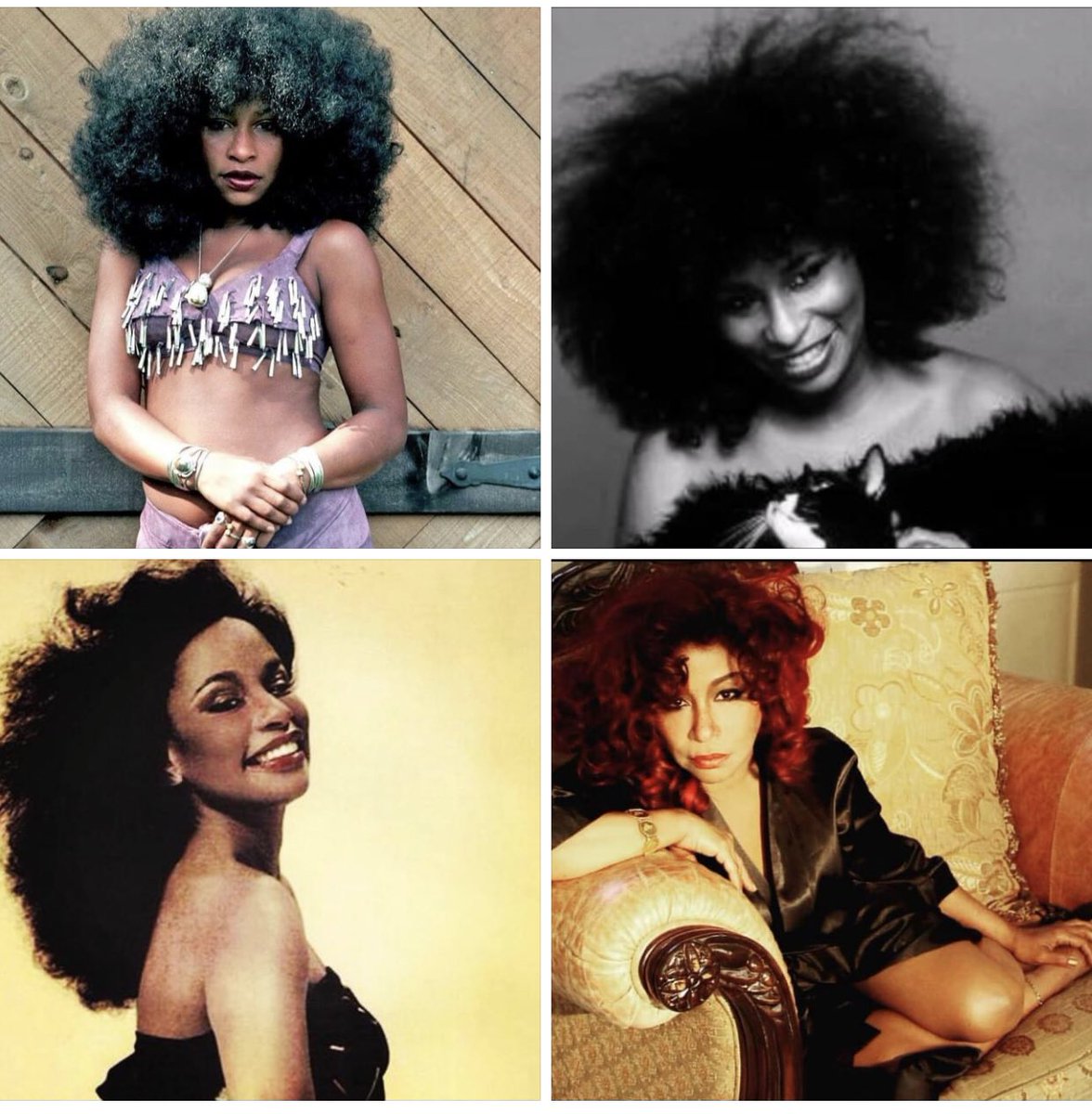 #chaka50
#ChakaKhan 
@ChakaKhan