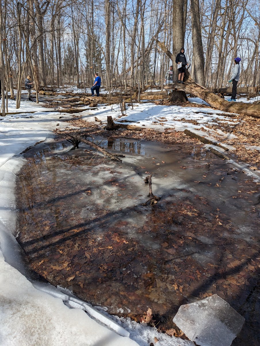NathanielEBlood's tweet photo. Environmental Issues @NeenahSchools students are growing wild rice for a Green Bay restoration project with @uwgb, while Nature Study students are exploring what will (soon, we hope) be vernal ponds. We're off to a busy start to spring! https://t.co/VDnoEP79PO