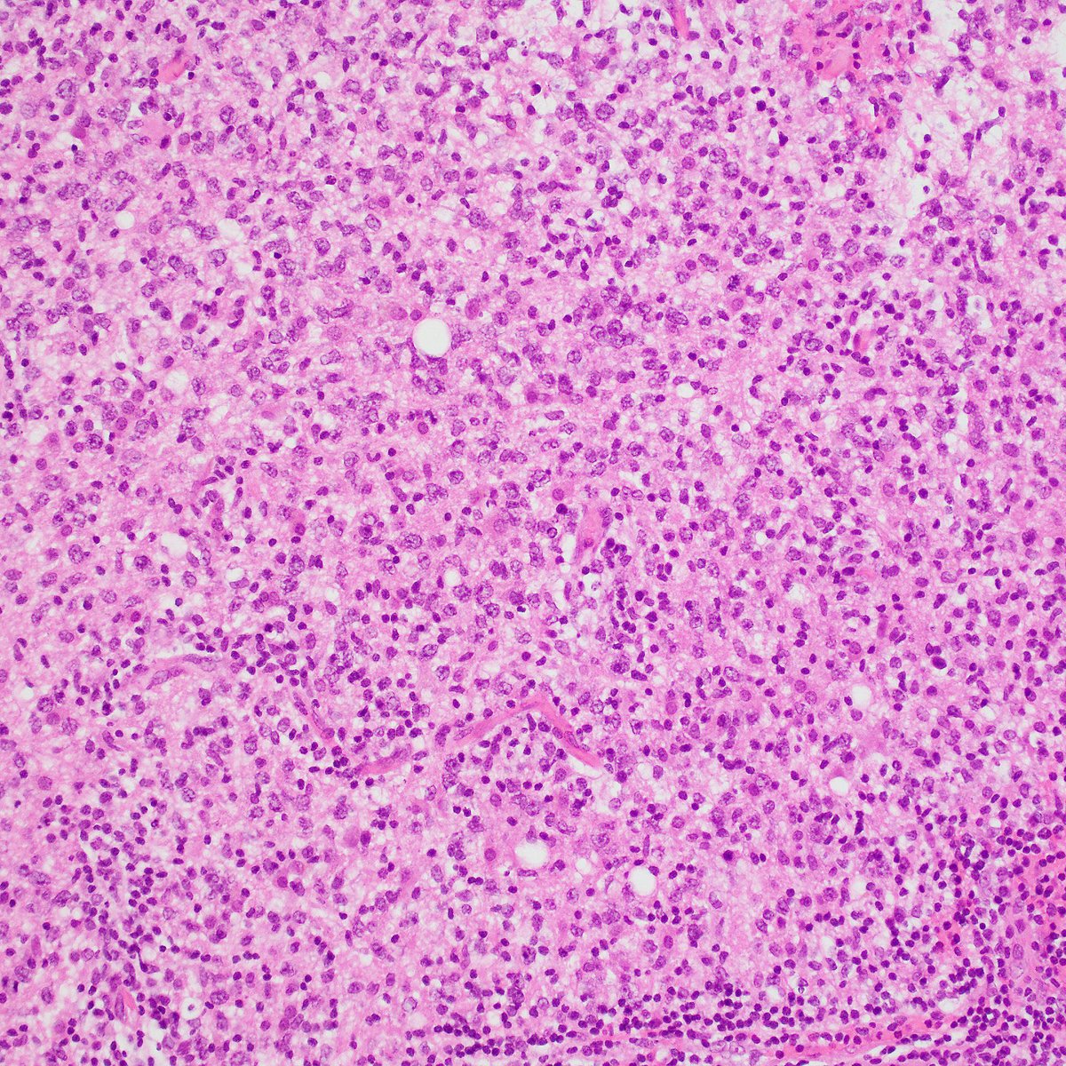 David Meredith tweet media