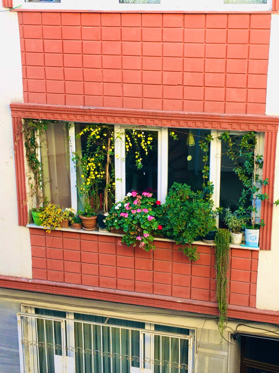 budamla (@damlakukul) on Twitter photo 