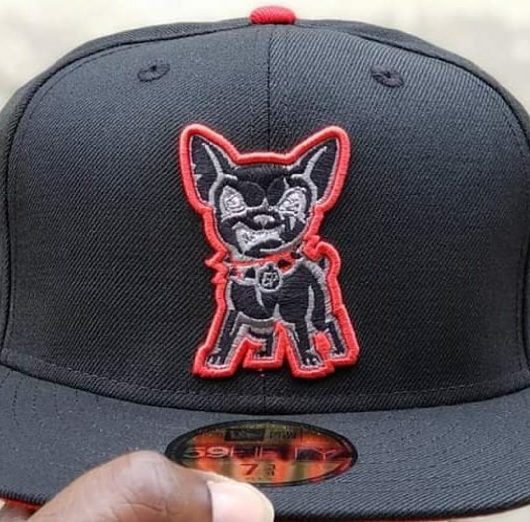 Dank1TheVandal's tweet photo. #NationalPuppyDay2023
#myfurbabies #CharlestonRiverDogs #Frenchies #TheClinkroom #Chihuahuas #JacksonGenerals #Hercules #Baseballism #size734 #NOSIDEPATCHGANG https://t.co/YbTaMwkWmt