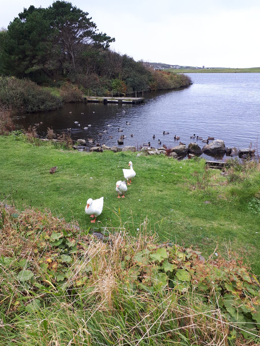 @Rockhopper51 Beautiful location for a beautiful vacation #Renvylehousehotel #Connemara #Galway #Wildatlanticway #DiscoverIreland #heartofireland