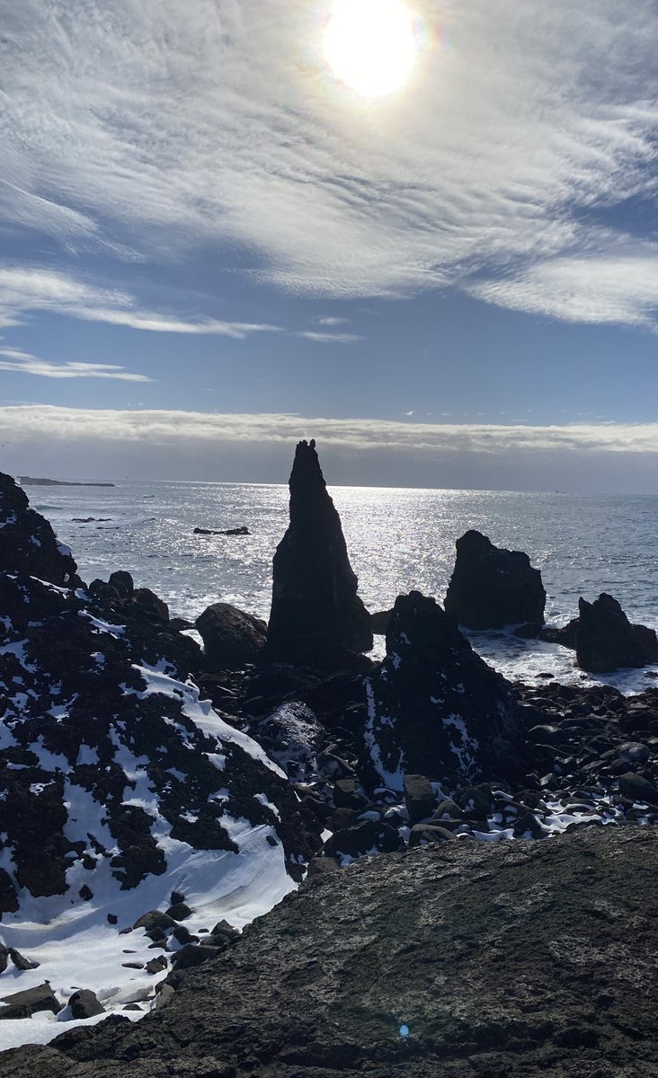 BGS Geography tweet media