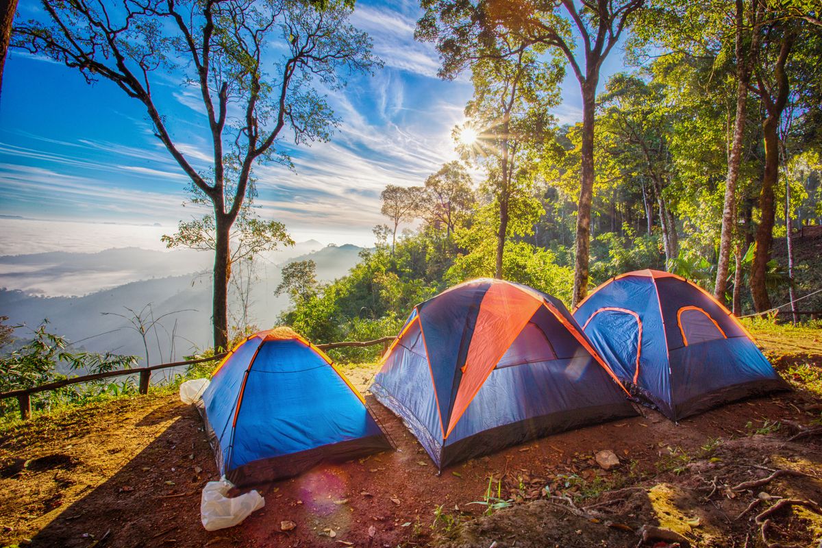 SsCamping's tweet photo. Spring is finally here! Come by and see us for your next adventure.

 #tents #camping #spring #campinglife #campingtrip #springtime #campinggear #outdoorslife #outdoors #parksandrecreation https://t.co/zW40QWcJDu
