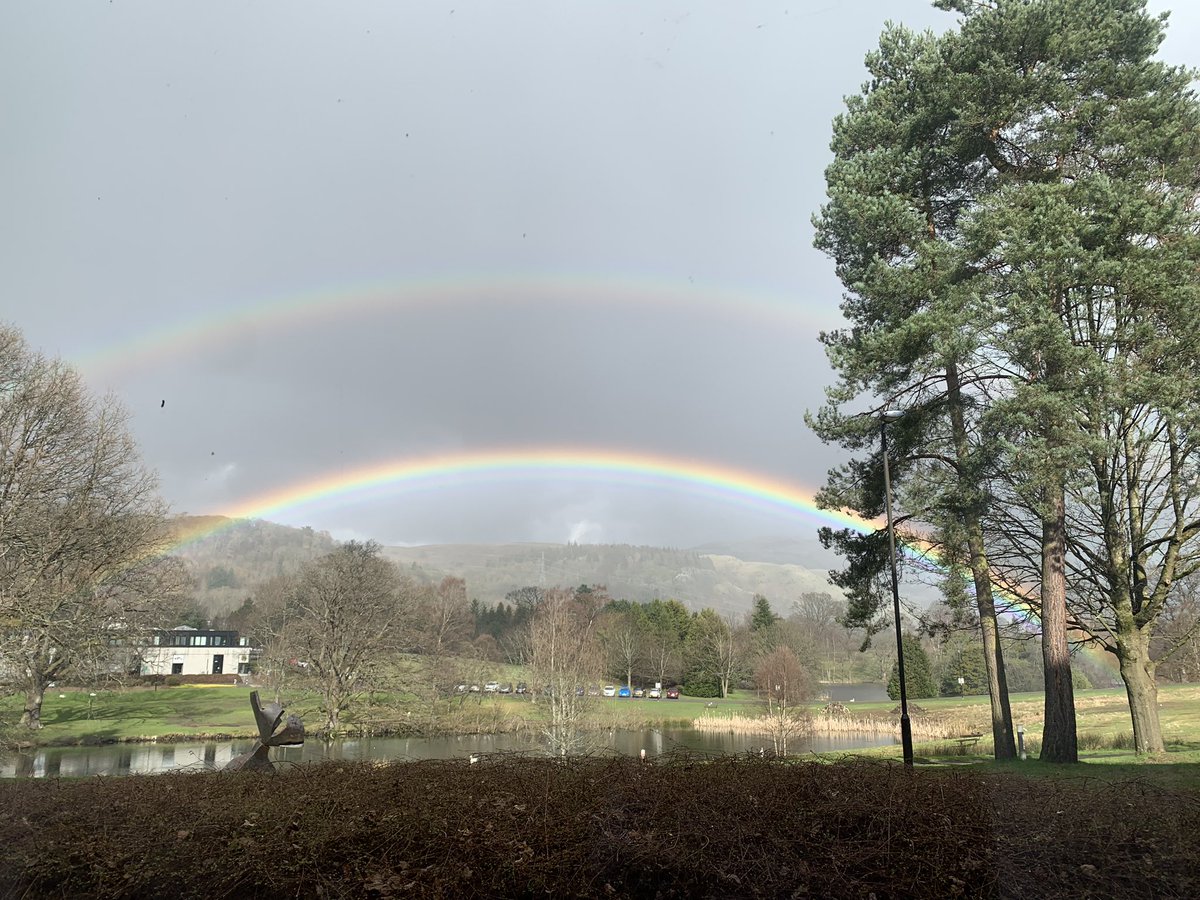 Liam Spillane tweet media