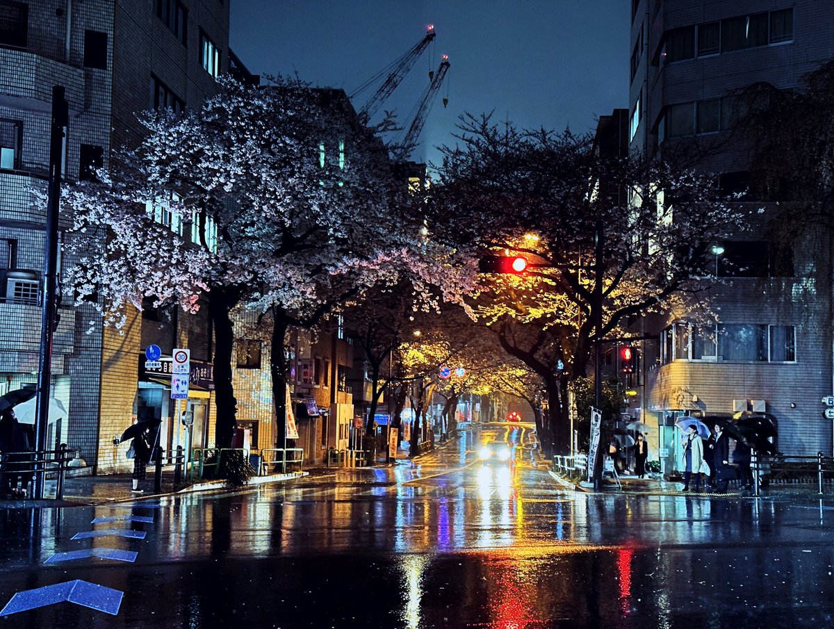 ferdalangurinn tweet media