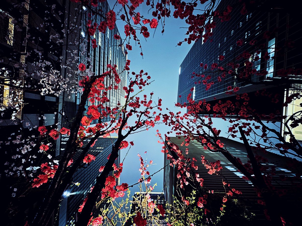 ferdalangurinn tweet media