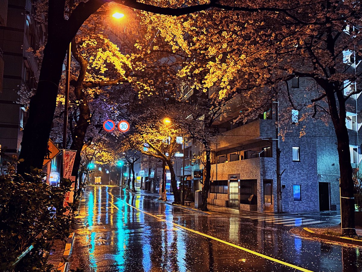 ferdalangurinn tweet media